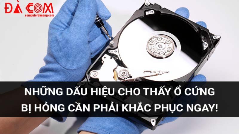Dich-vu-sua-chua-o-cung-laptop-da-nang-1
