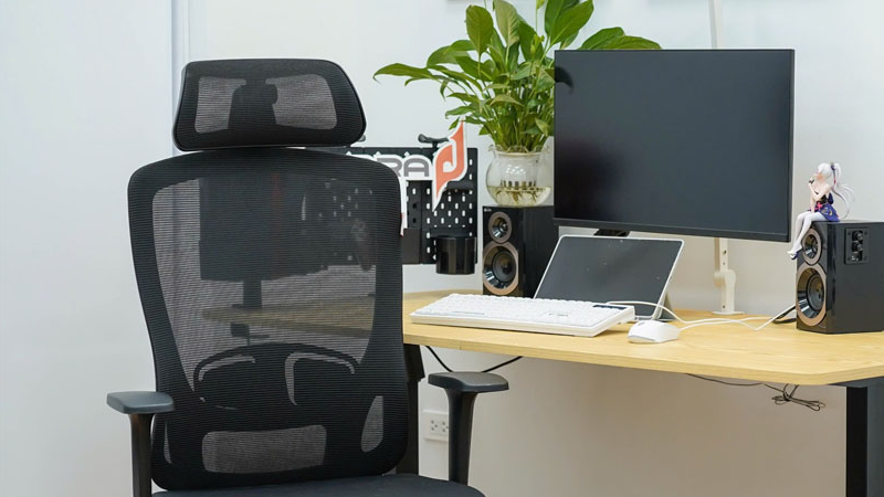 Ghe-cong-thai-hoc-edra-eec2225